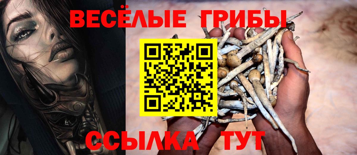 Галлюциногенные грибы MAGIC MUSHROOMS Ефремов