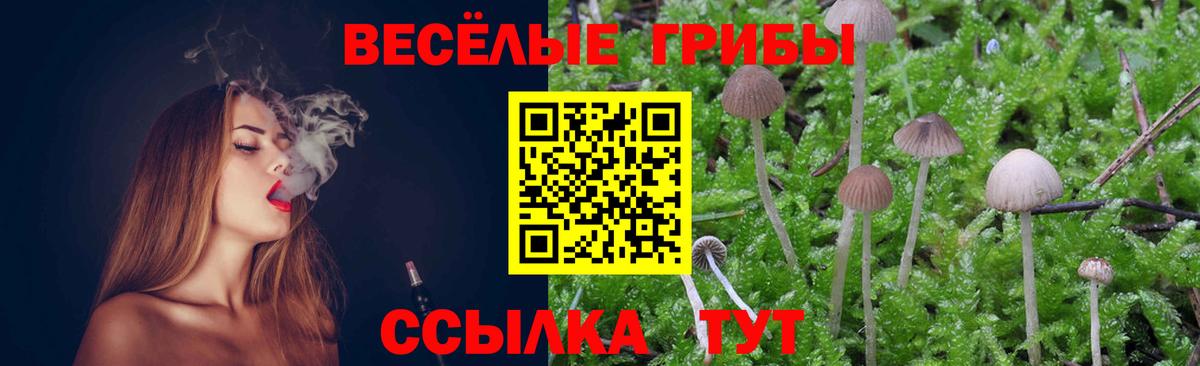 Ефремов  Псилоцибиновые грибы Psilocybe  Вход с VPN 